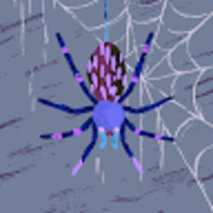 Meet your Posher, Levi